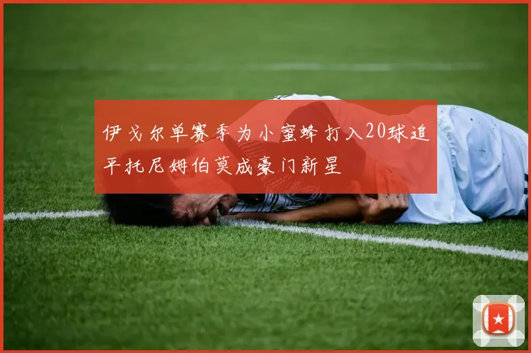 伊戈尔单赛季为小蜜蜂打入20球追平托尼姆伯莫成豪门新星